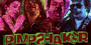 Mosaik Pimpshaker