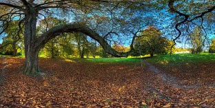 Tour Schlosspark Putbus