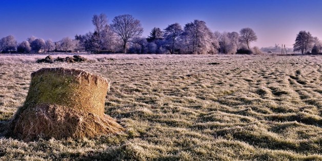 Frost in Rorichmoor